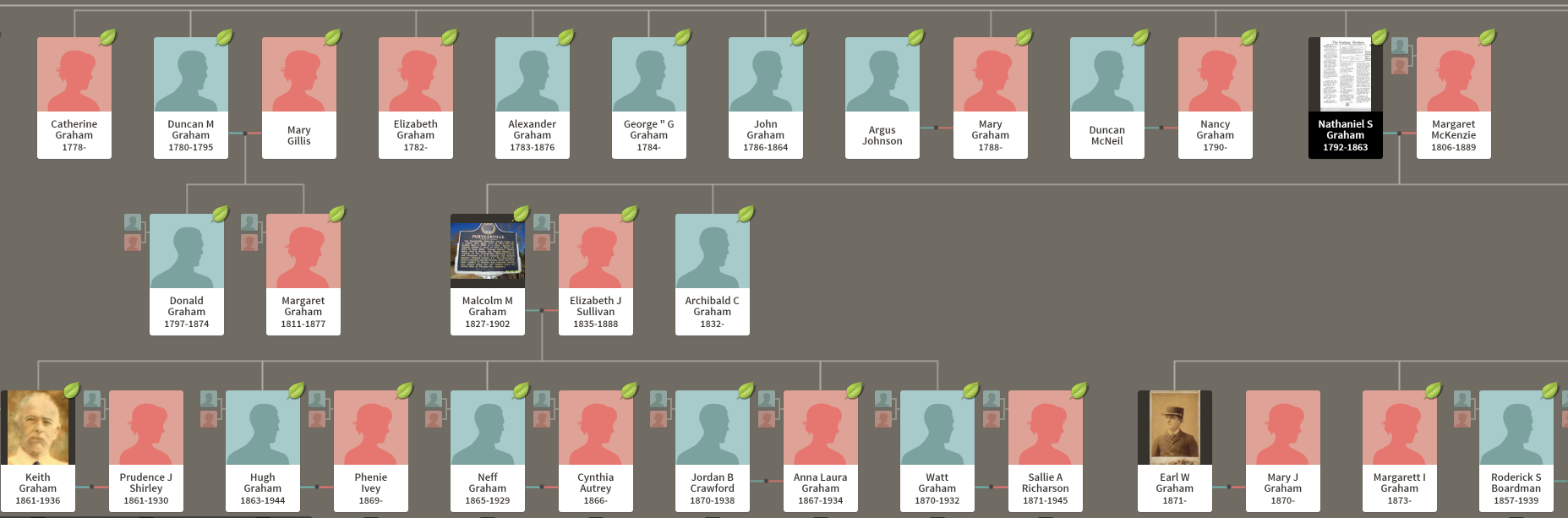 Genealogy tree visualization